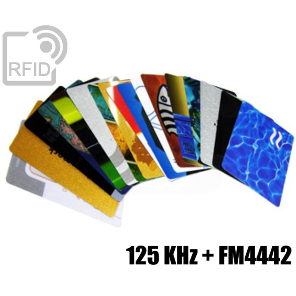 CD02D04 Tessere card stampate doppio chip 125 KHz + FM4442 swatch